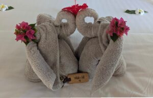 Hyggelig velkomst til Inhale @Hill