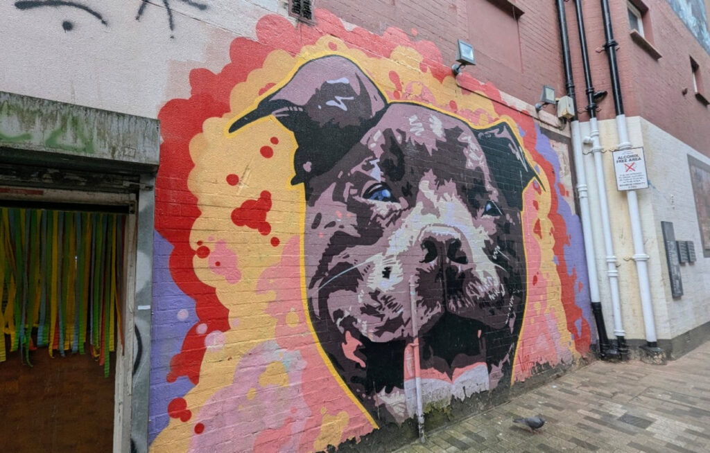 Fargerik gatekunst på en murvegg som viser et detaljert portrett av en hund, med en due på fortauet foran.