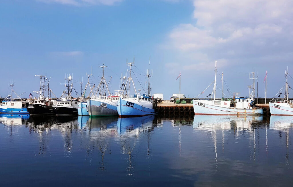Flere blå og hvitmalte tradisjonelle fiskebåter ligger til kai i Gilleleje Havn med speilbilde i det blikkstille vannet.